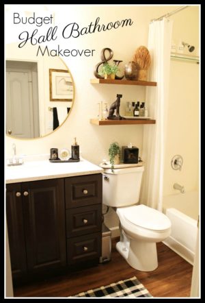 Budget Bathroom Makeover