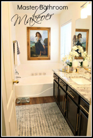 Budget Bathroom Makeover