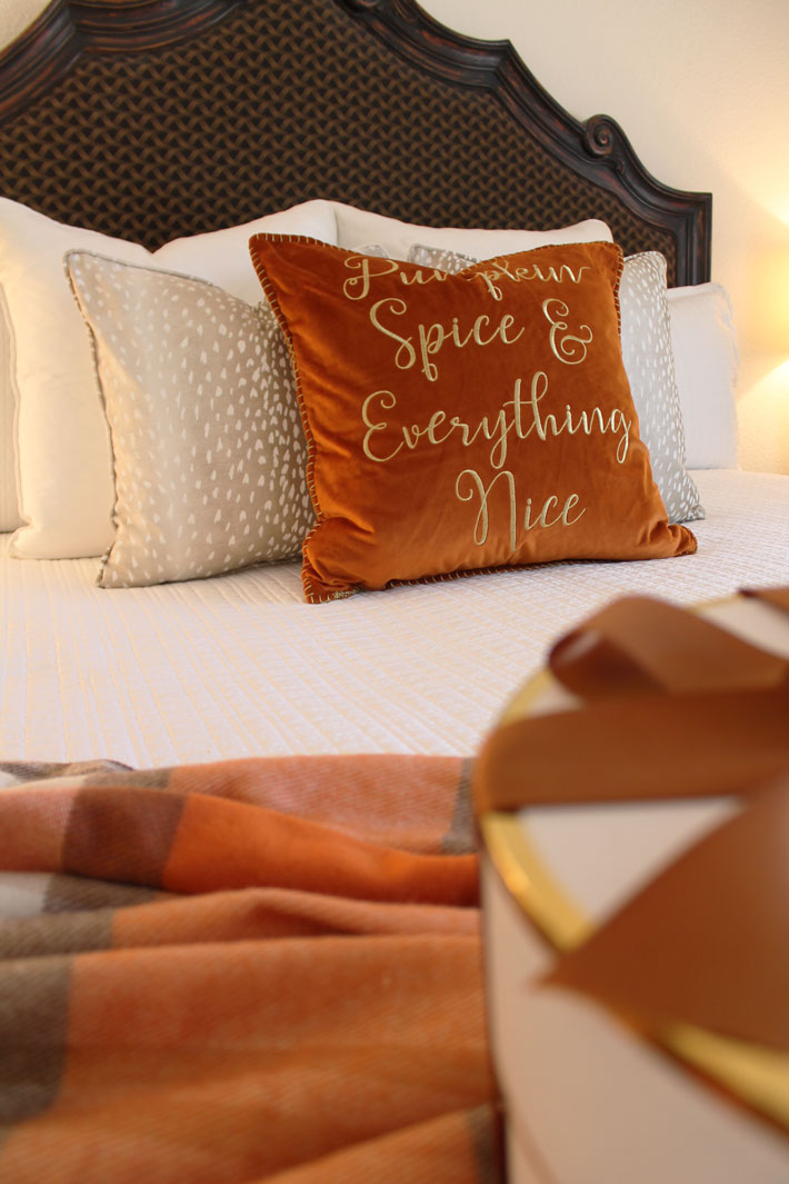 Pumpkin Spice & Everything Nice Pillow